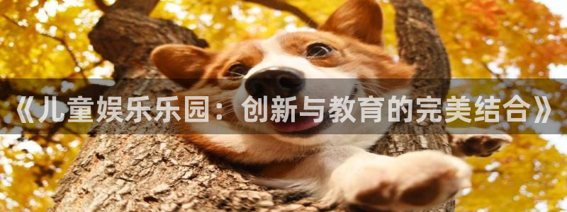 AB娱乐：《儿童娱乐乐园：创新与教育的完美结合》