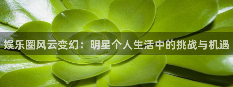 AB娱乐：娱乐圈风云变幻：明星个人生活中的挑战与机遇