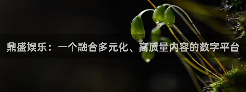 upload/20250701114914.jpg