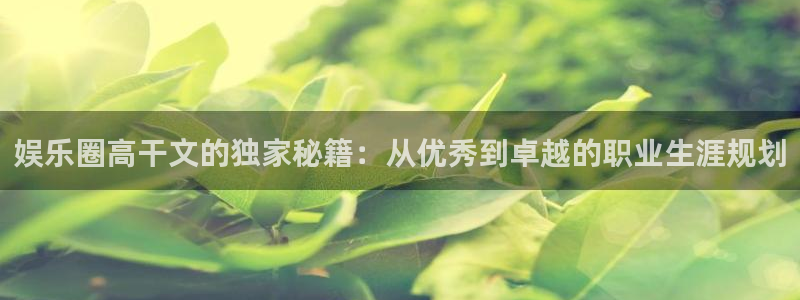 AB娱乐：娱乐圈高干文的独家秘籍：从优秀到卓越的职业生涯规划
